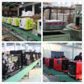 Jiangsu Excalibur Generador diesel silencioso portátil 3KVA para uso doméstico
